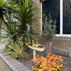 Greening and planting in Putney town centre